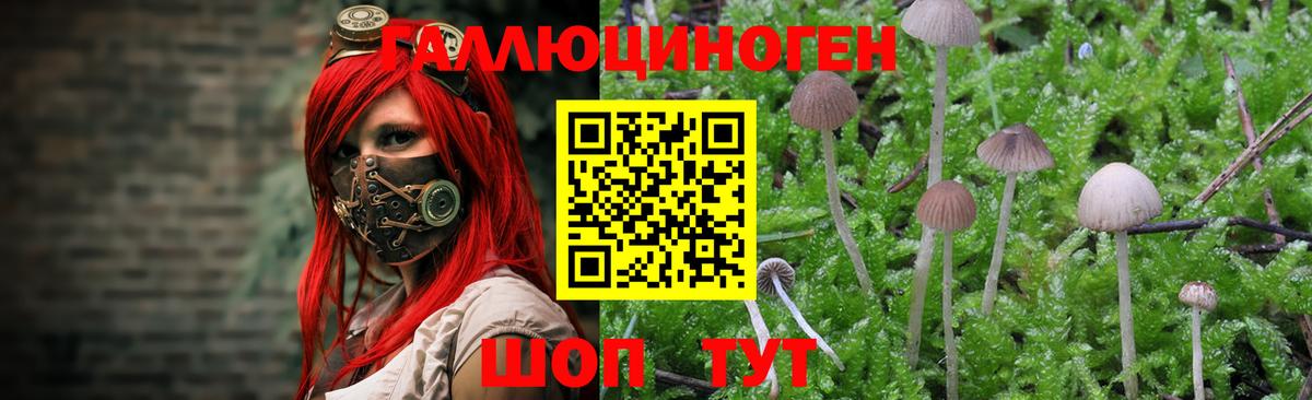 Первоуральск  Галлюциногенные грибы Psilocybe  Вход с VPN 